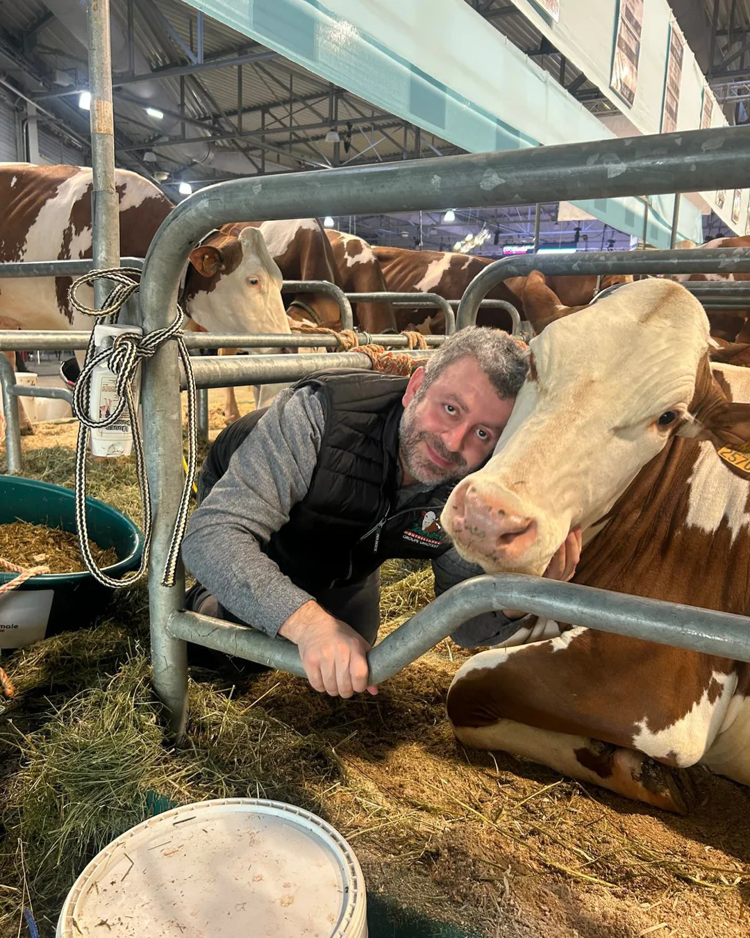 Le Puy des Montbéliardes kapak görseli